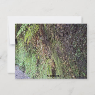 Grand Canyon Briefkaart