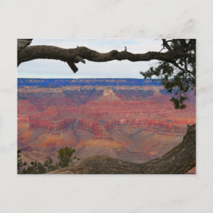 Grand Canyon Briefkaart