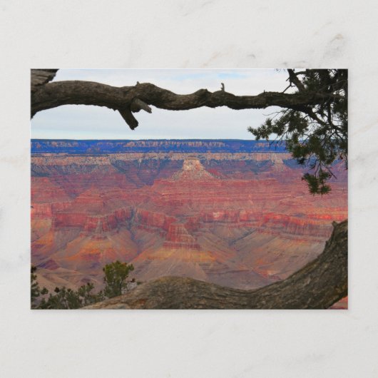 Grand Canyon Briefkaart (Voorkant)