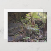 Grand Canyon Briefkaart (Voorkant / Achterkant)