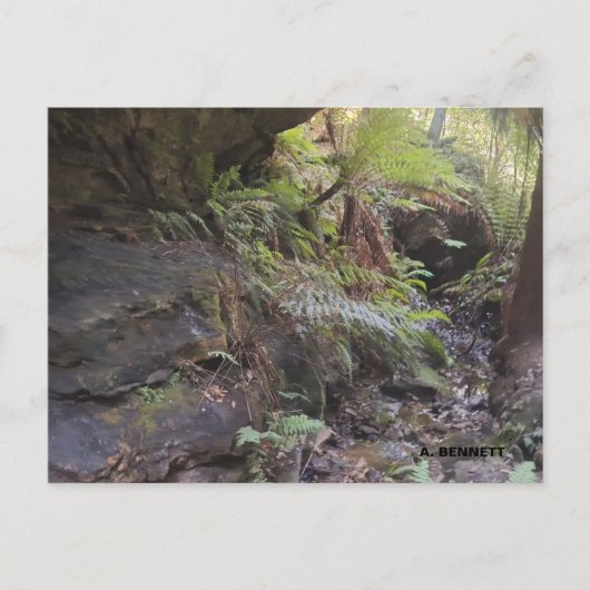 Grand Canyon Briefkaart (Voorkant)