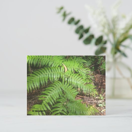 Grand Canyon Briefkaart (Staand voorkant)