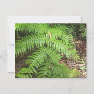 Grand Canyon Briefkaart