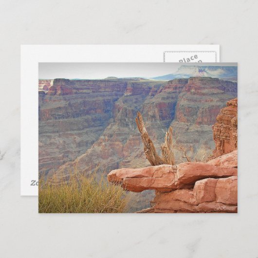 Grand Canyon Briefkaart (Voorkant / Achterkant)