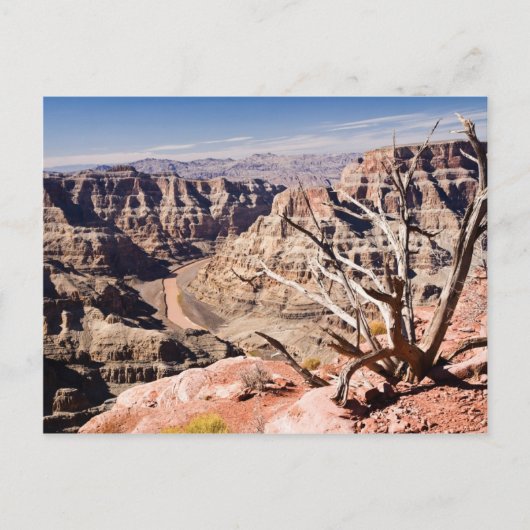 Grand Canyon Briefkaart (Voorkant)