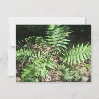 Grand Canyon Briefkaart