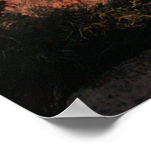 Grand Canyon Flora Poster (Hoek)