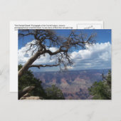 Grand Canyon Het gekleurde Briefkaart van de woest (Voorkant / Achterkant)