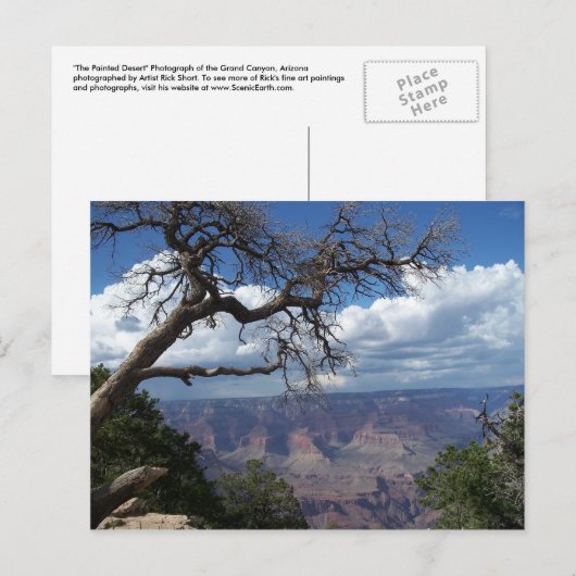 Grand Canyon Het gekleurde Briefkaart van de woest (Voorkant / Achterkant)
