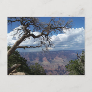 Grand Canyon Het gekleurde Briefkaart van de woest