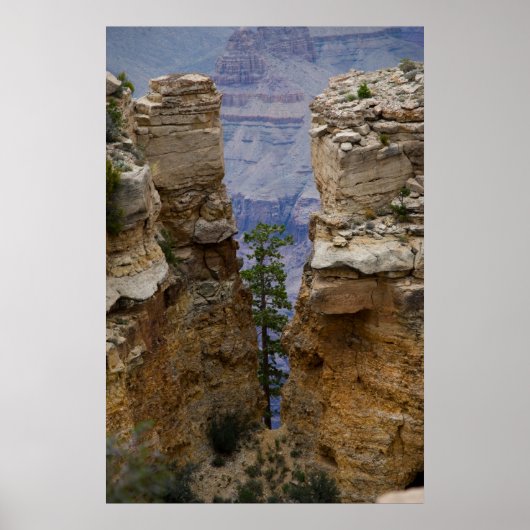 Grand Canyon Hidden Tree 4822 Print (Voorkant)