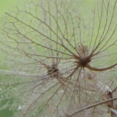 Grand Canyon Kalender