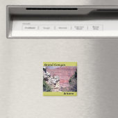 Grand Canyon Magnet 004 (Insitu (Vaatwasser))