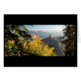 Grand Canyon met een gouden berk