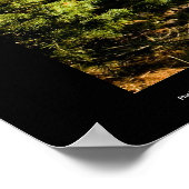 Grand Canyon met een gouden berk Poster (Hoek)