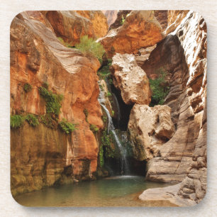 Grand Canyon National Park, Arizona Bier Onderzetter