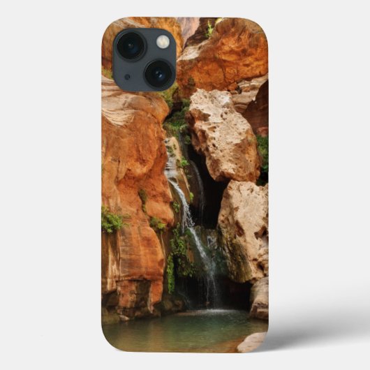 Grand Canyon National Park, Arizona Case-Mate iPhone Case (Achterkant)