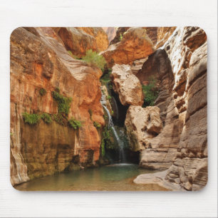 Grand Canyon National Park, Arizona Muismat