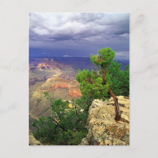 Grand Canyon National Park, Arizona, Verenigd 3 Briefkaart (Voorkant)