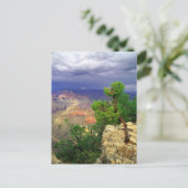 Grand Canyon National Park, Arizona, Verenigd 3 Briefkaart (Staand voorkant)