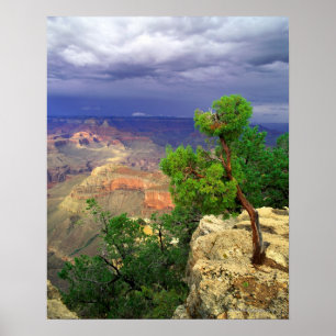 Grand Canyon National Park, Arizona, Verenigd 3 Poster
