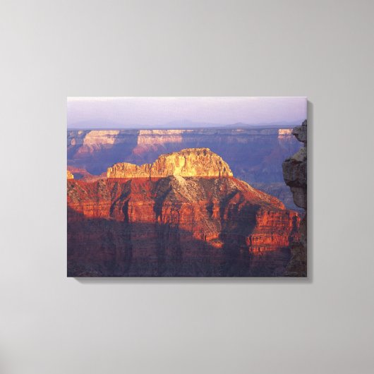 Grand Canyon National Park, Arizona, Verenigde Sta Canvas Afdruk (Voorkant)