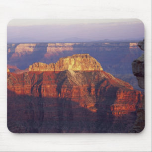 Grand Canyon National Park, Arizona, VS. Muismat