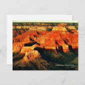 Grand Canyon National Park Briefkaart (Voorkant / Achterkant)