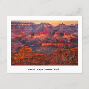Grand Canyon National Park Briefkaart