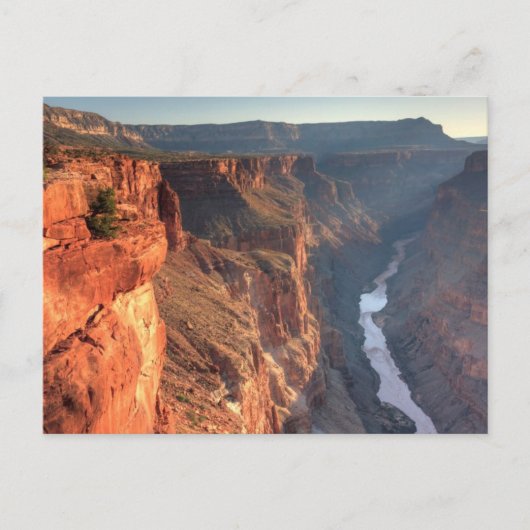 Grand Canyon National Park, Verenigde Staten Briefkaart (Voorkant)