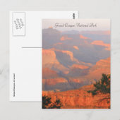 grand canyon np briefkaart (Voorkant / Achterkant)