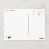 Grand Canyon of the Yellowstone Briefkaart (Achterkant)