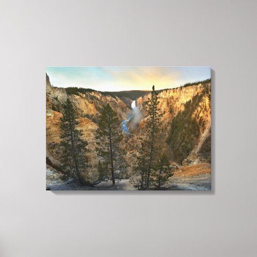 Grand Canyon of Yellowstone, Yellowstone Canvas Afdruk (Voorkant)