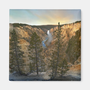 Grand Canyon of Yellowstone, Yellowstone Magneet