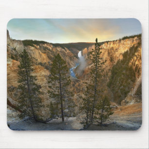 Grand Canyon of Yellowstone, Yellowstone Muismat