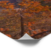 Grand Canyon op Sunrise Poster (Hoek)