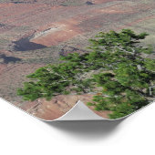 Grand Canyon panorama Mohave punt Poster (Hoek)