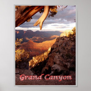Grand Canyon - Panorama - Verenigde Staten - Poster