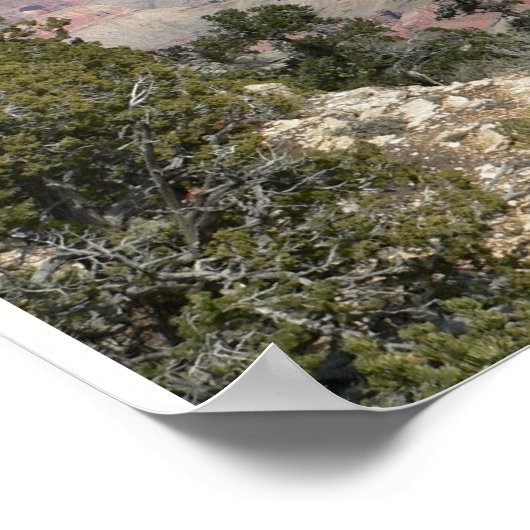 Grand Canyon Panoramisch Poster (Hoek)