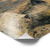 Grand Canyon-Parashant Nationaal Monument, 2 Foto Afdruk (Hoek)