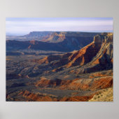 Grand Canyon-Parashant Nationaal Monument Poster (Voorkant)