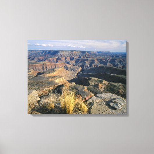 Grand Canyon-Parashant National Monument, 2 Canvas Afdruk (Voorkant)
