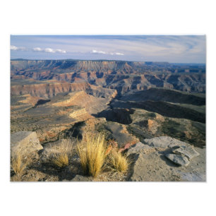 Grand Canyon-Parashant National Monument, 2 Foto Afdruk