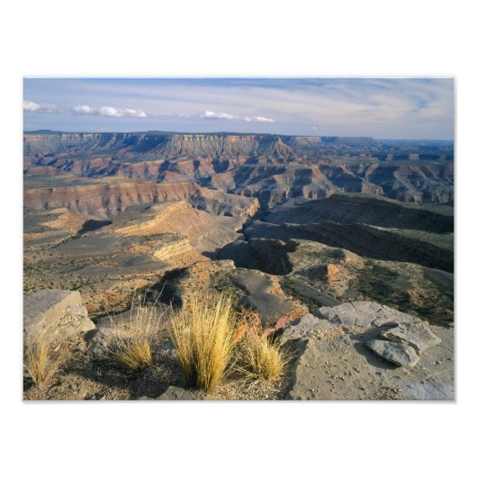 Grand Canyon-Parashant National Monument, 2 Foto Afdruk (Voorkant)