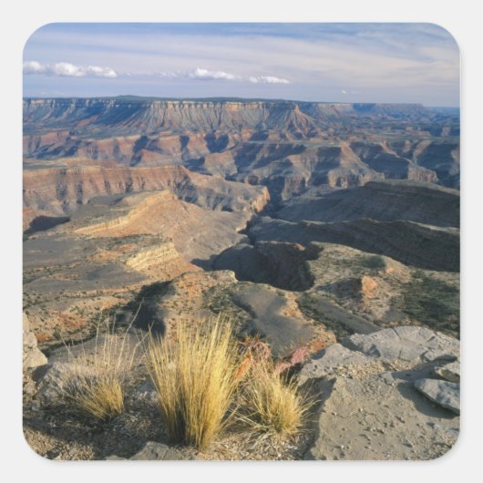 Grand Canyon-Parashant National Monument, 2 Vierkante Sticker (Voorkant)