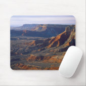 Grand Canyon-Parashant National Monument, Muismat (Met muis)