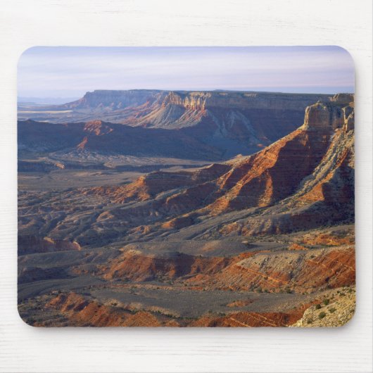 Grand Canyon-Parashant National Monument, Muismat (Voorkant)