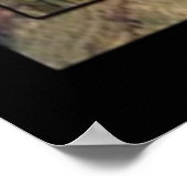 Grand Canyon Park Poster (Hoek)