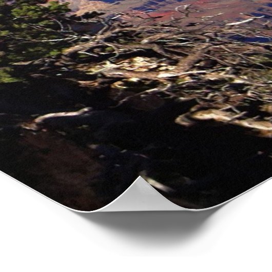 grand canyon poster (Hoek)