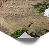 Grand Canyon Poster (Hoek)